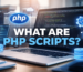 What Are PHP Scripts Guide to Uses, Setup, Debugging